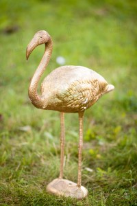 Zelta flamingo8